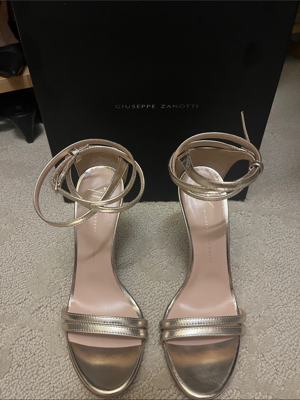 Never worn Giuseppe Zanotti Rose  Ankle-Tie Stiletto Sandals